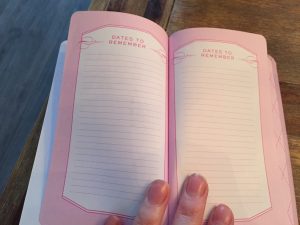 review dagboek vijf jaren schrijven onthouden persoonlijk gezin kinderen moeder